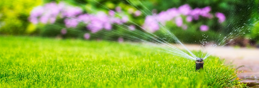 Watering restrictions