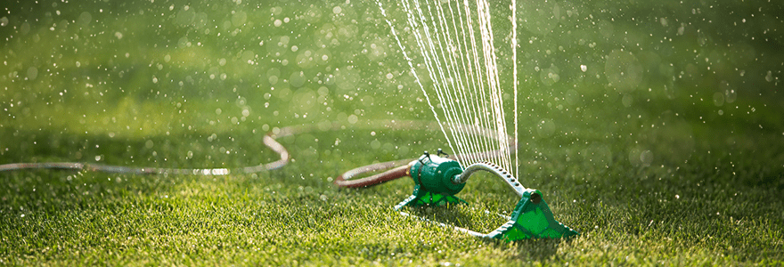 Sprinkler watering green grass