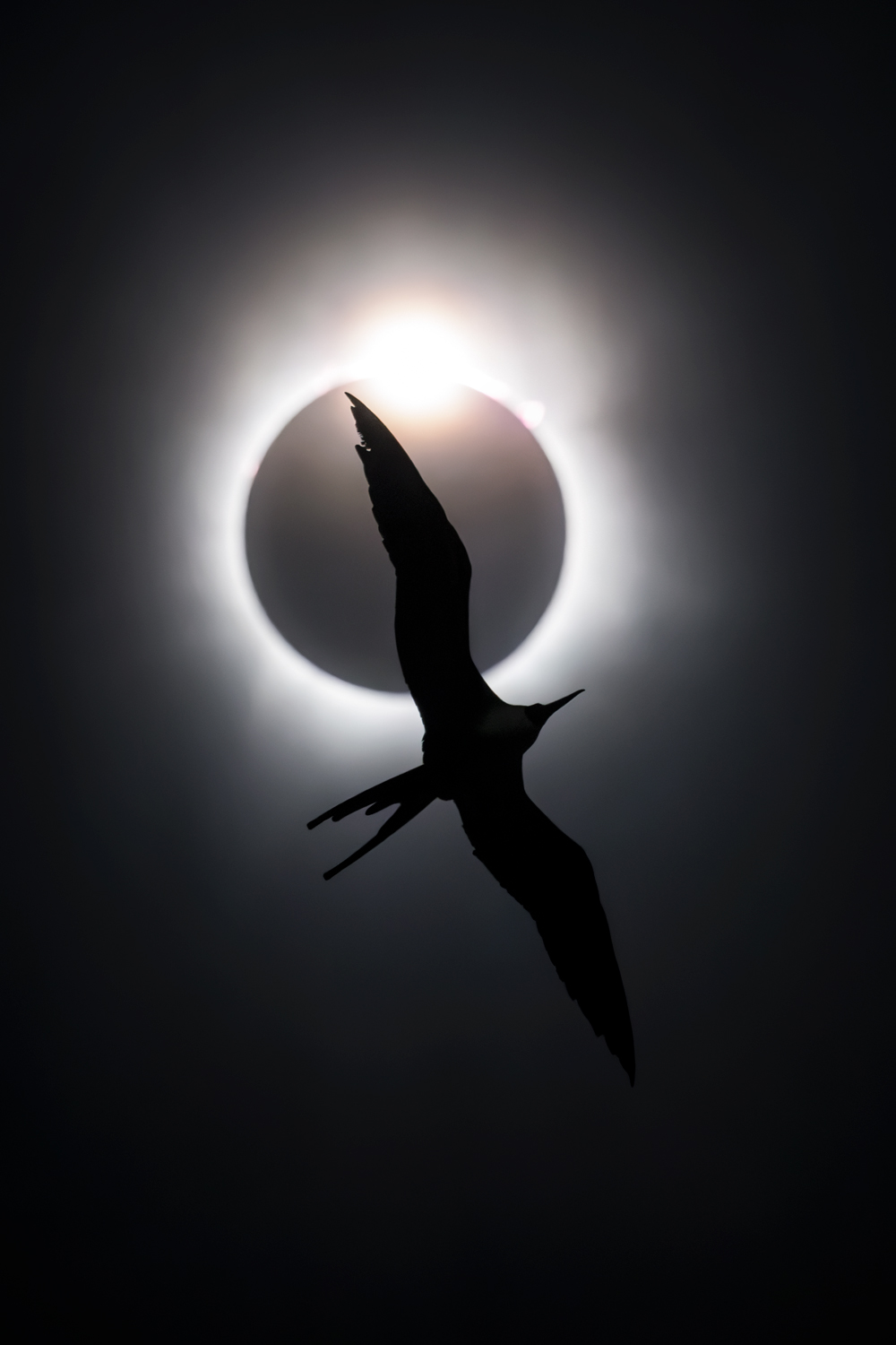 Event Promotional Image