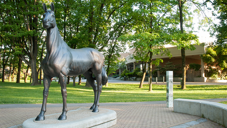 Photography: City of Richmond
