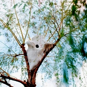 Untitled [Nest for Owls]