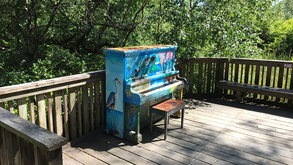 Pianos on the Street 2017 - Nature Park