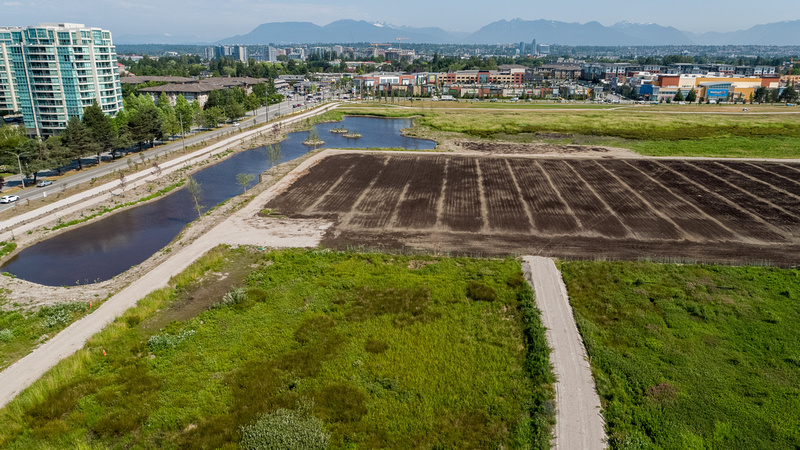 Aerial view along Garden City Road, pond and agricultural field