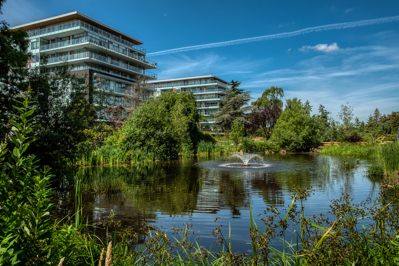 View of pond 