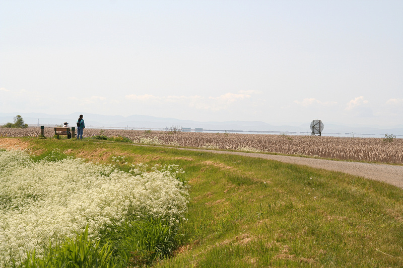 West Dyke Trail in spring
