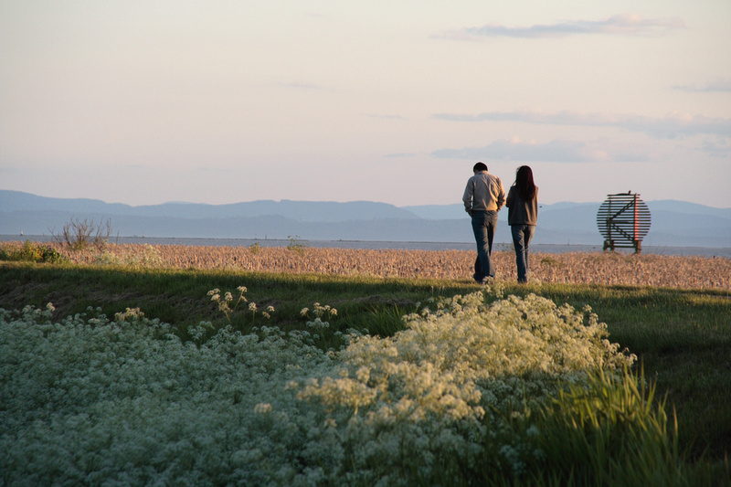 West Dyke Trail in spring
