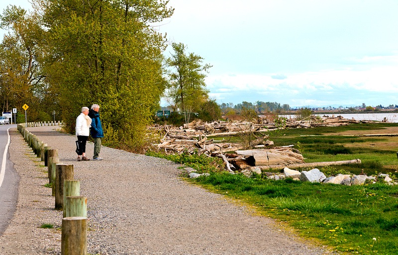 Walking on the South Dyke Trail