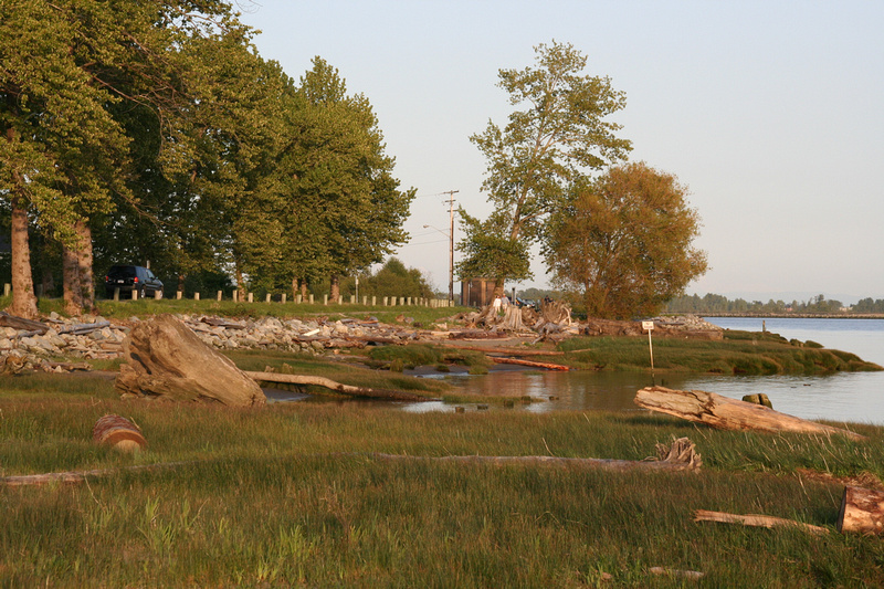 View of South Arm of the Fraser River from trail