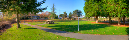 picnic area