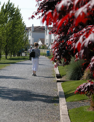 Great West Cannery Park - west facing view toward western end of the linear park