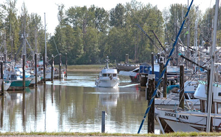 Great West Cannery Park - south facing view of Paramount Pond and Shady Island from the berms and benches in the park