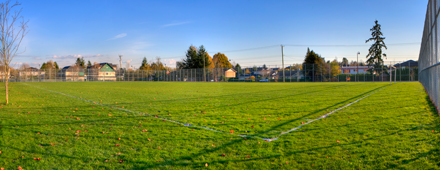 sports field