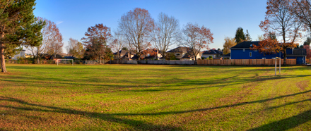 field