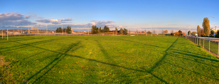 field