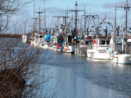 Garry Point Park - northwest facing view of Scotch Pond, a historic moorage site