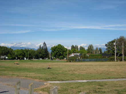 Flight Path Park- view facing north