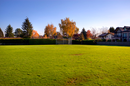 Field