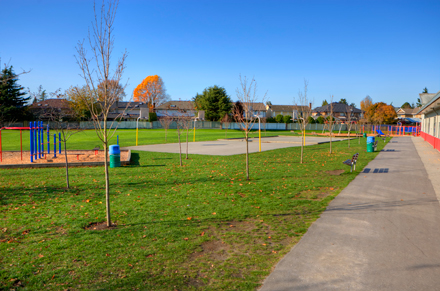 pathway