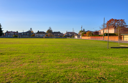 Field