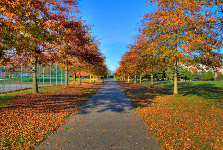 Dover pathway