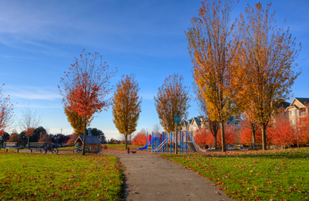 Dover playground