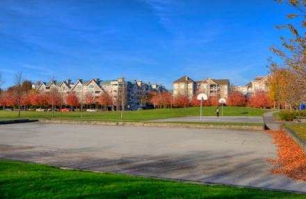 Basketball court