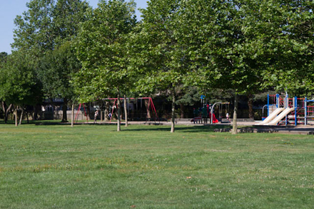 playground and field