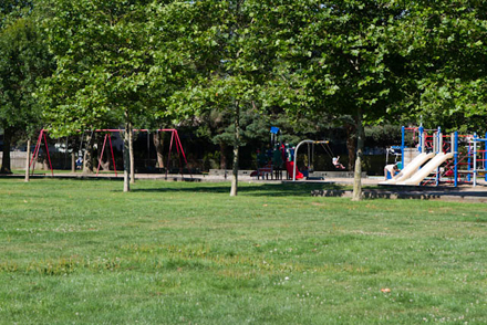 playground and field