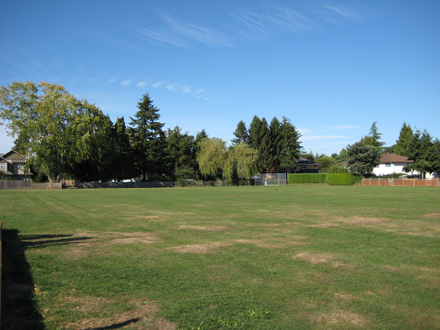Bridge Neighbourhood Park