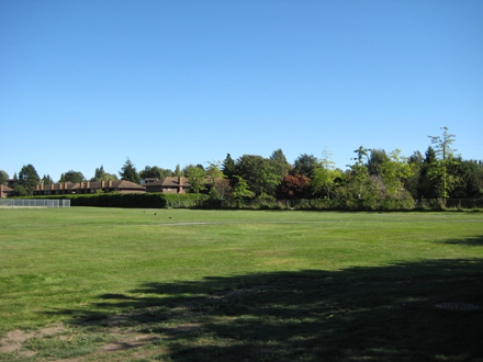 Cook Neigbourhood Park - view facing south-east