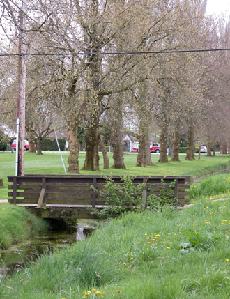 Burkeville Park - south facing view of  slough and bridge