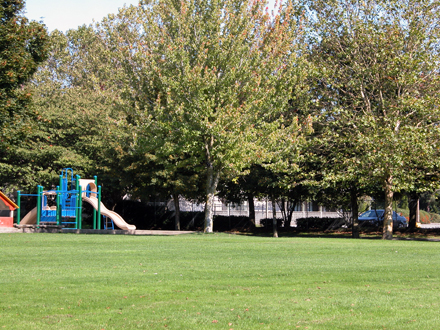 Albert Airey Park - east facing view of park and playground