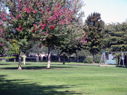 Albert Airey Park - North facing view of park and playing fields