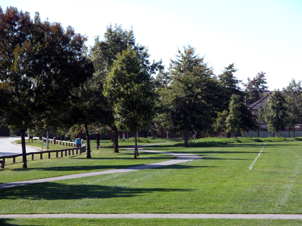 Talmey Park - west facing view of perimeter trail and open space