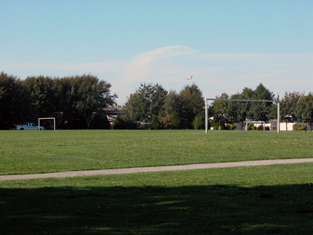 Talmey Park - northwest facing view of playing fields