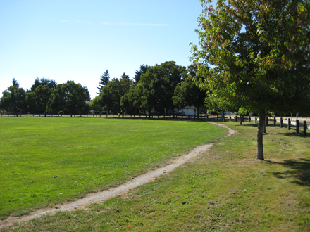 Tait Neighbourhood Park: view facing south-west