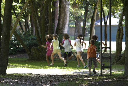 playing in trees