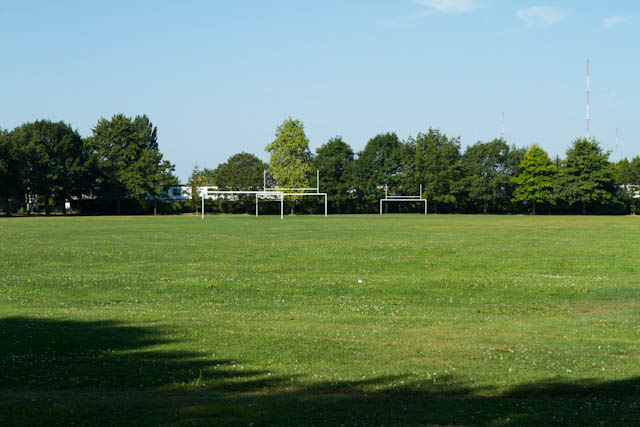 sports field