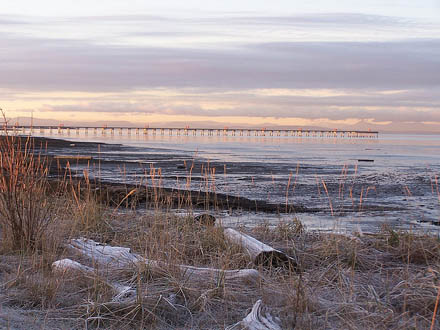 Iona Beach