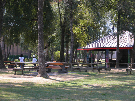 King George Park - picnic area and gazebo