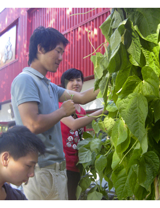 south arm garden