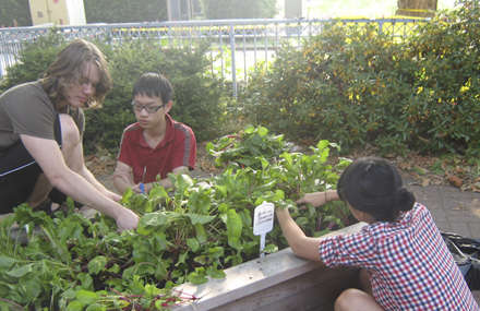 south arm gardens