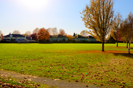 sports field