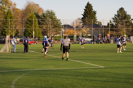 Artificial turf field