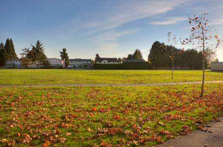 field