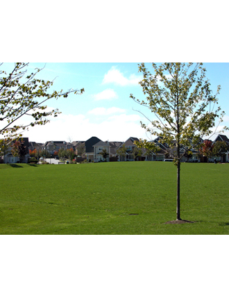 Odlinwood Park - west facing view of park openspace