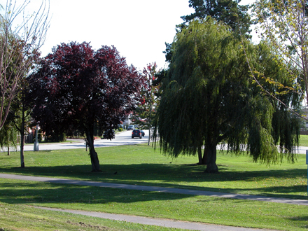 Odlin Park - southeast facing view of park pathway