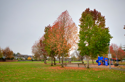 playground and field