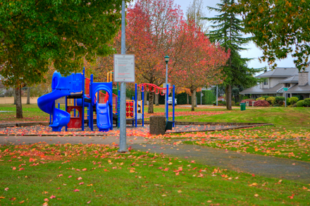 playground