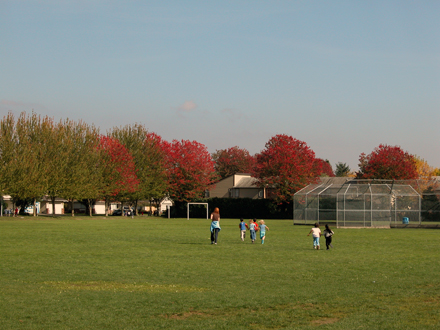Mitchell Neighbourhood Park - east facing view of playing field, ball diamond and openspace